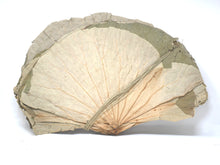 Load image into Gallery viewer, LOTUS LEAVES 蓮葉, 10lbx3

